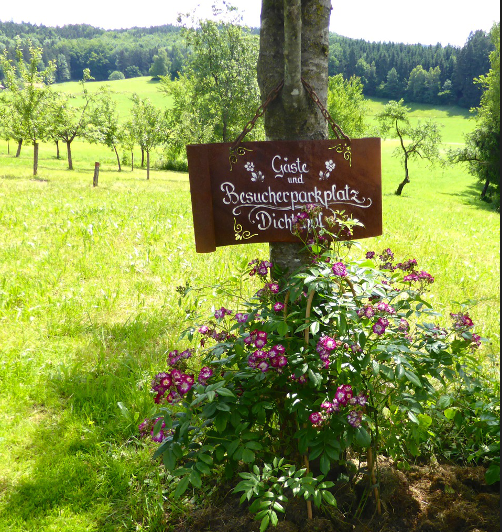 vacances à la ferme - Steinbach am Attersee - Dichtlhof