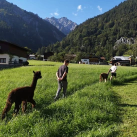 Ferien Bauernhof: Gästehaus zum Bären