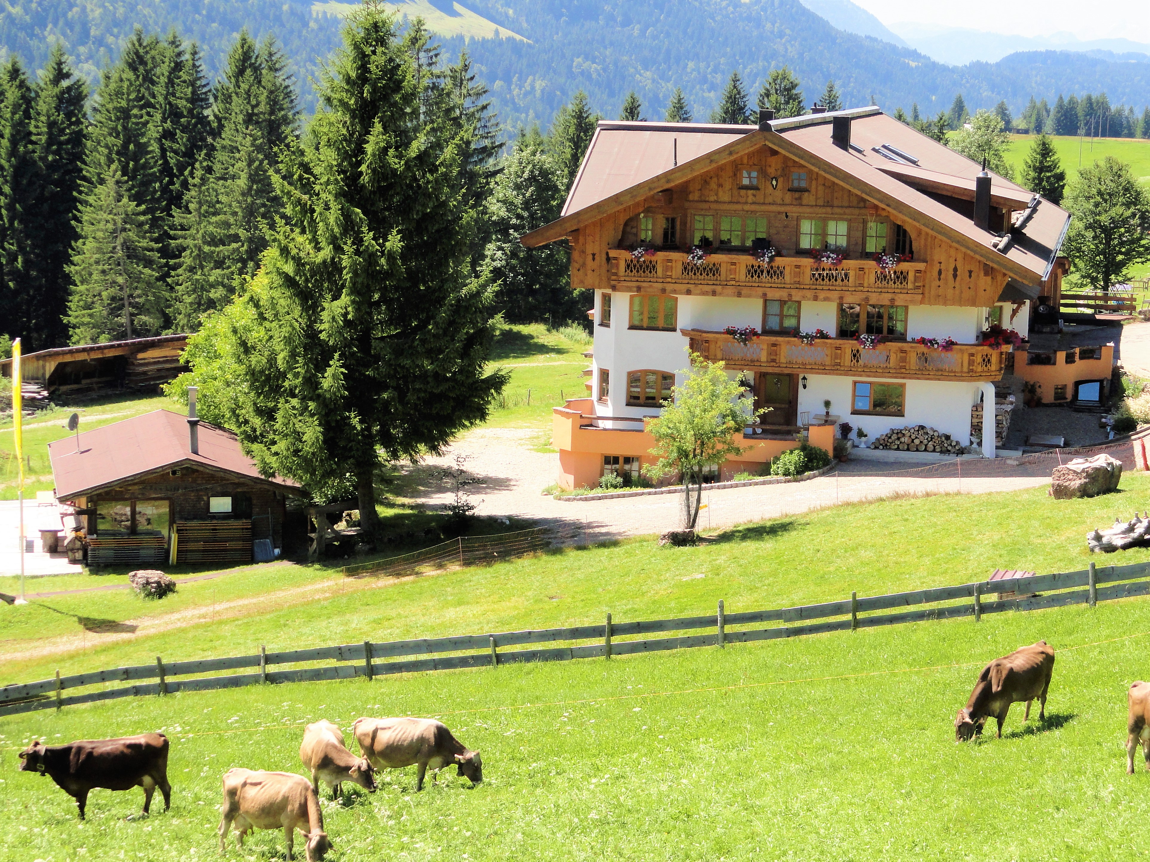Urlaub auf dem Bauernhof - Bartholomäberg - Bauernhof "Almfrieden"