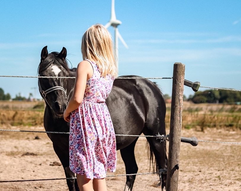 Ferien Bauernhof: Bauernhof am Nordseedeich