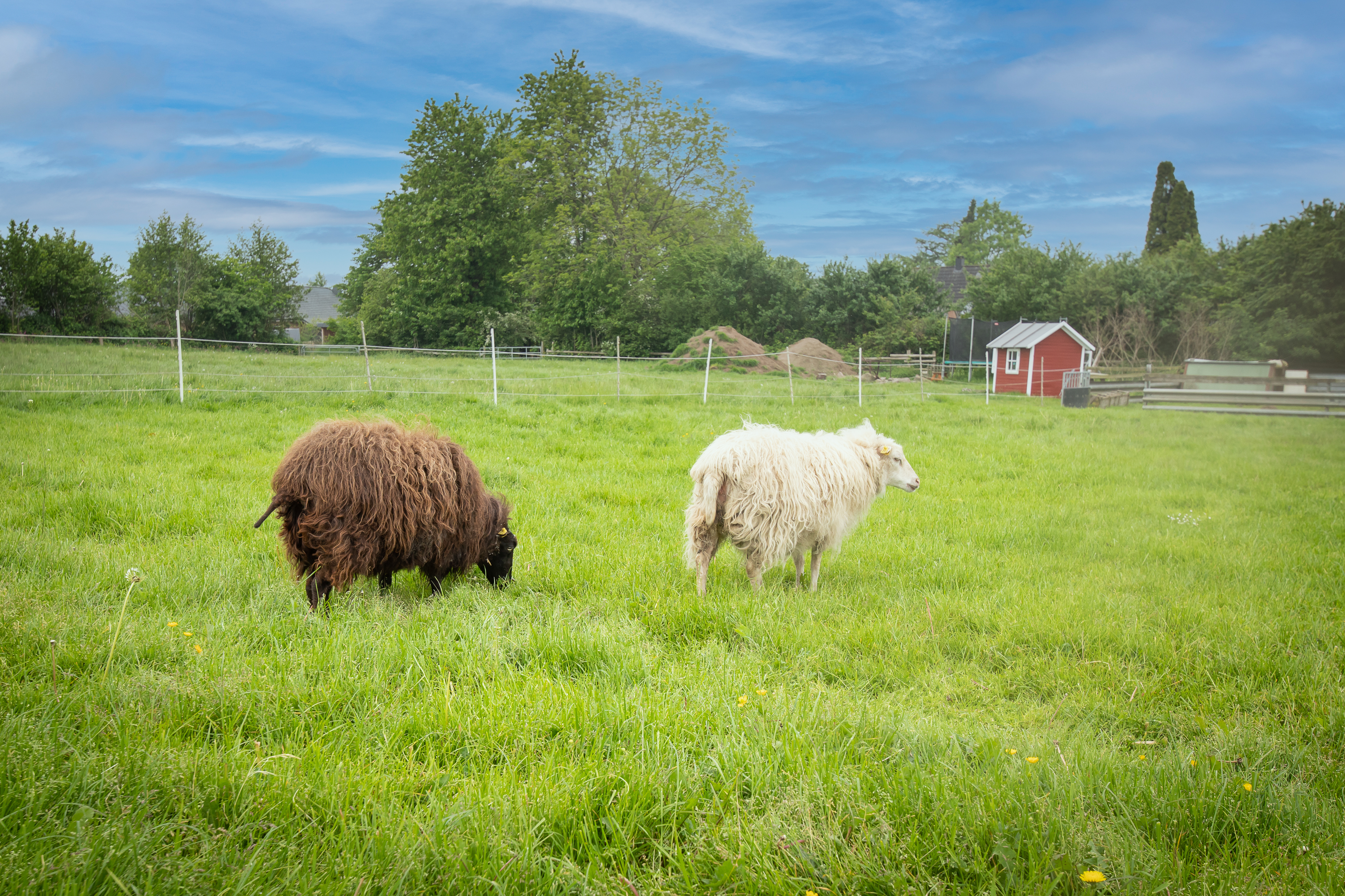 Ferien Bauernhof: Urlaubsbauernhof Lindenhof