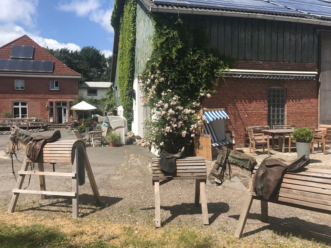 Ferien Bauernhof: Holzpferde und Sitzplätze -  Warfthof Wollatz