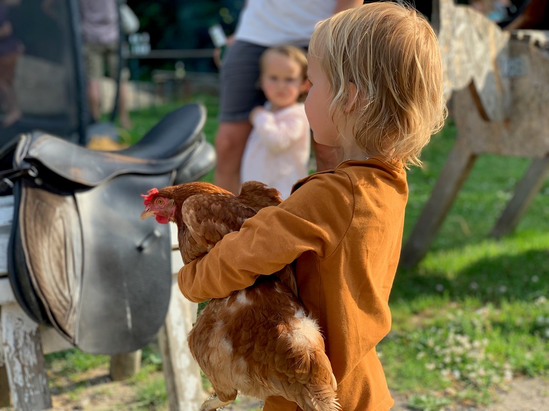 Ferien Bauernhof: Hühner fangen -  Warfthof Wollatz