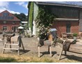 Ferien Bauernhof: Holzpferde und Sitzplätze - Warfthof Wollatz - Nordseeurlaub mit Feinsinn