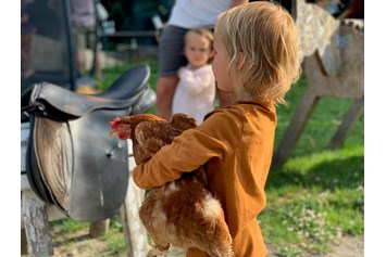 Ferien Bauernhof: Hühner fangen - Warfthof Wollatz - Nordseeurlaub mit Feinsinn