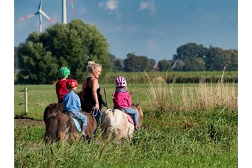 Ferien Bauernhof: Ponyführen - Warfthof Wollatz - Nordseeurlaub mit Feinsinn