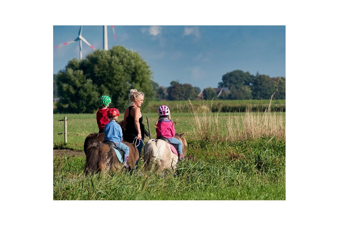 Ferien Bauernhof: Ponyführen - Warfthof Wollatz - Nordseeurlaub mit Feinsinn