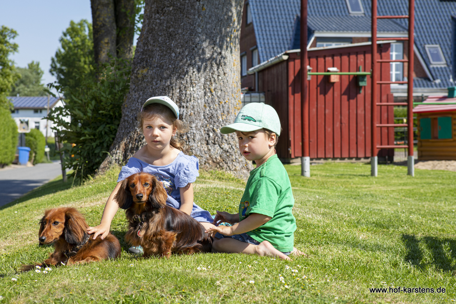 Ferien Bauernhof: Unsere Dackelmädchen - Ferienhof Karstens - Nordsee Schleswig- Holstein Dithmarschen nähe Büsum
