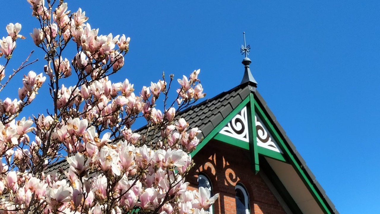 Wisch-Hof - ideal für Familienurlaub mit Freunden oder Großeltern - 20 min nach Kiel, 3 km zum Strand Ausflugsziele Einfach die Seele baumeln lassen...