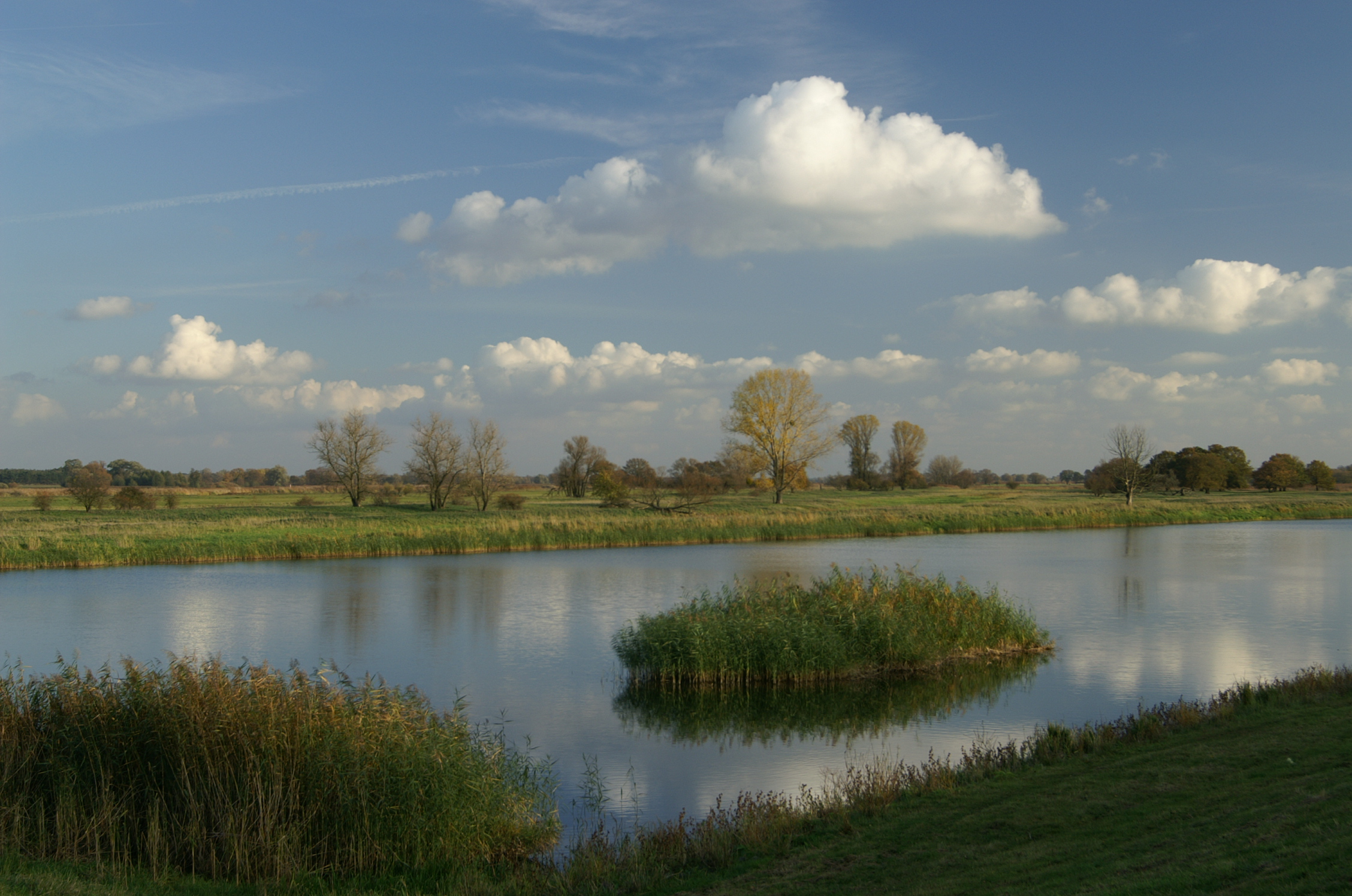 Ferien Bauernhof: An der Oder - Erlenhof im Oderbruch - Rund ums Schaf