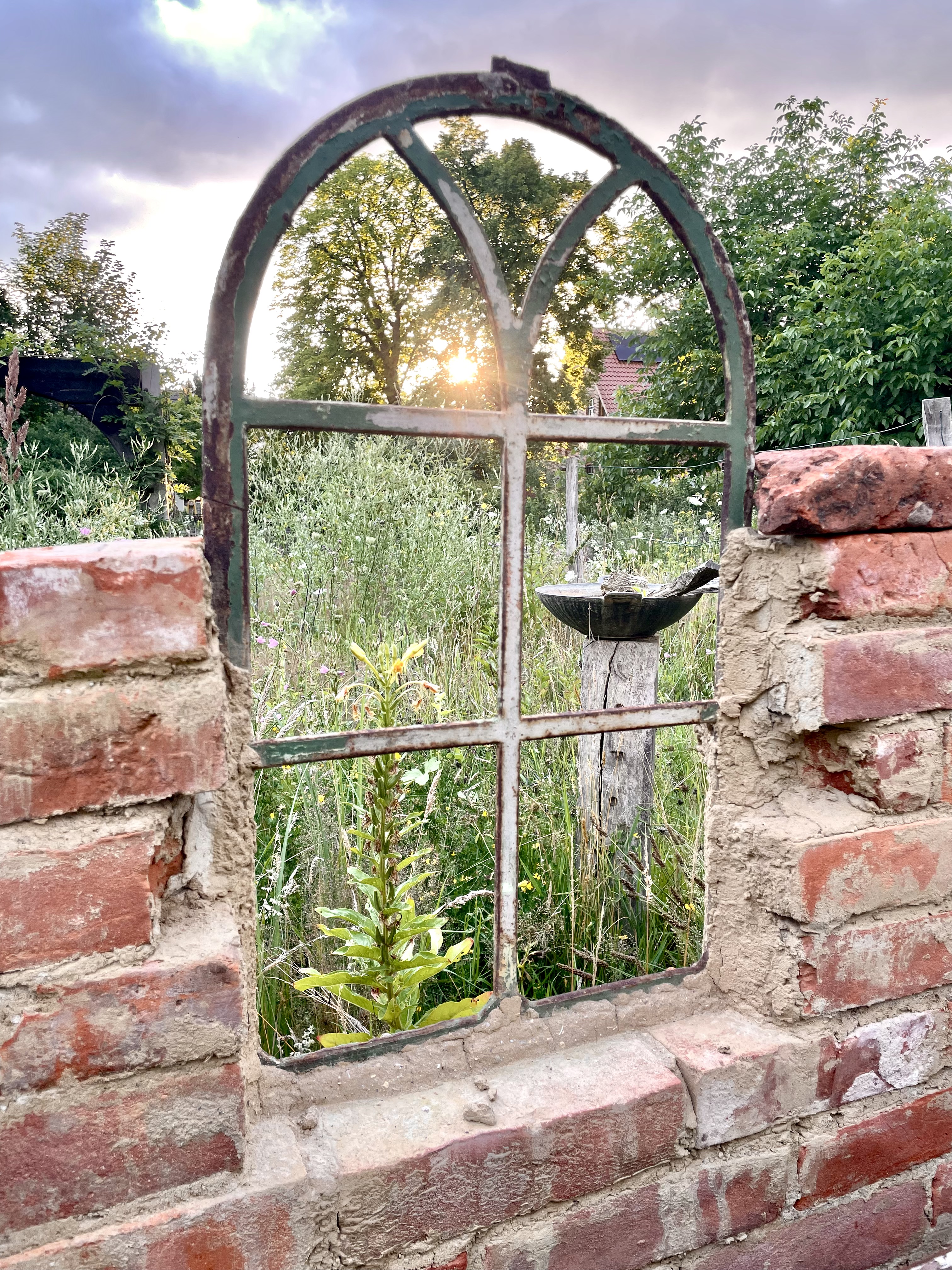 Ferien Bauernhof: Blick auf unsere Wildblumenwiese - Ferienhof Rauchhaus - Espace extérieur, Été