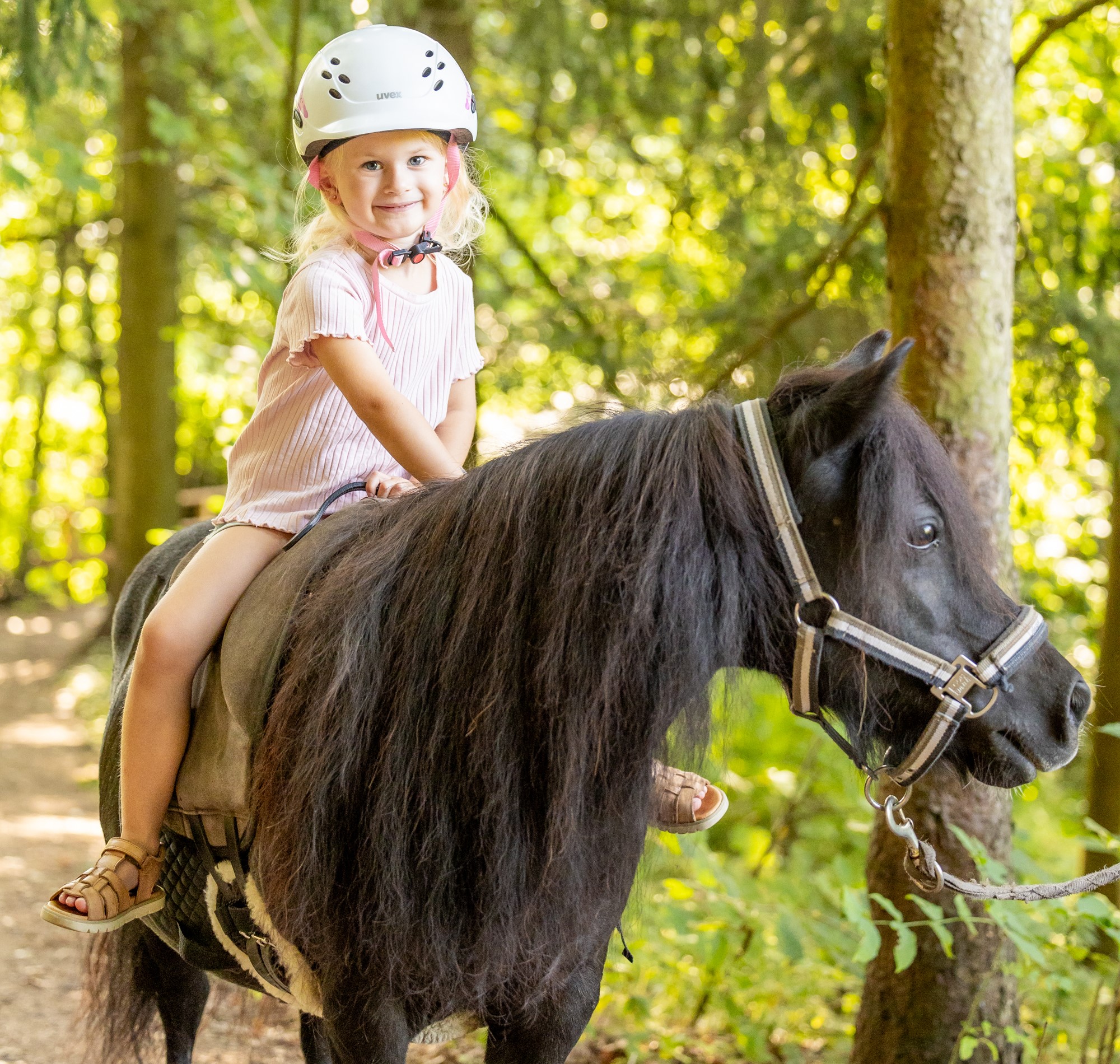 Ferien Bauernhof: Familotel Schreinerhof