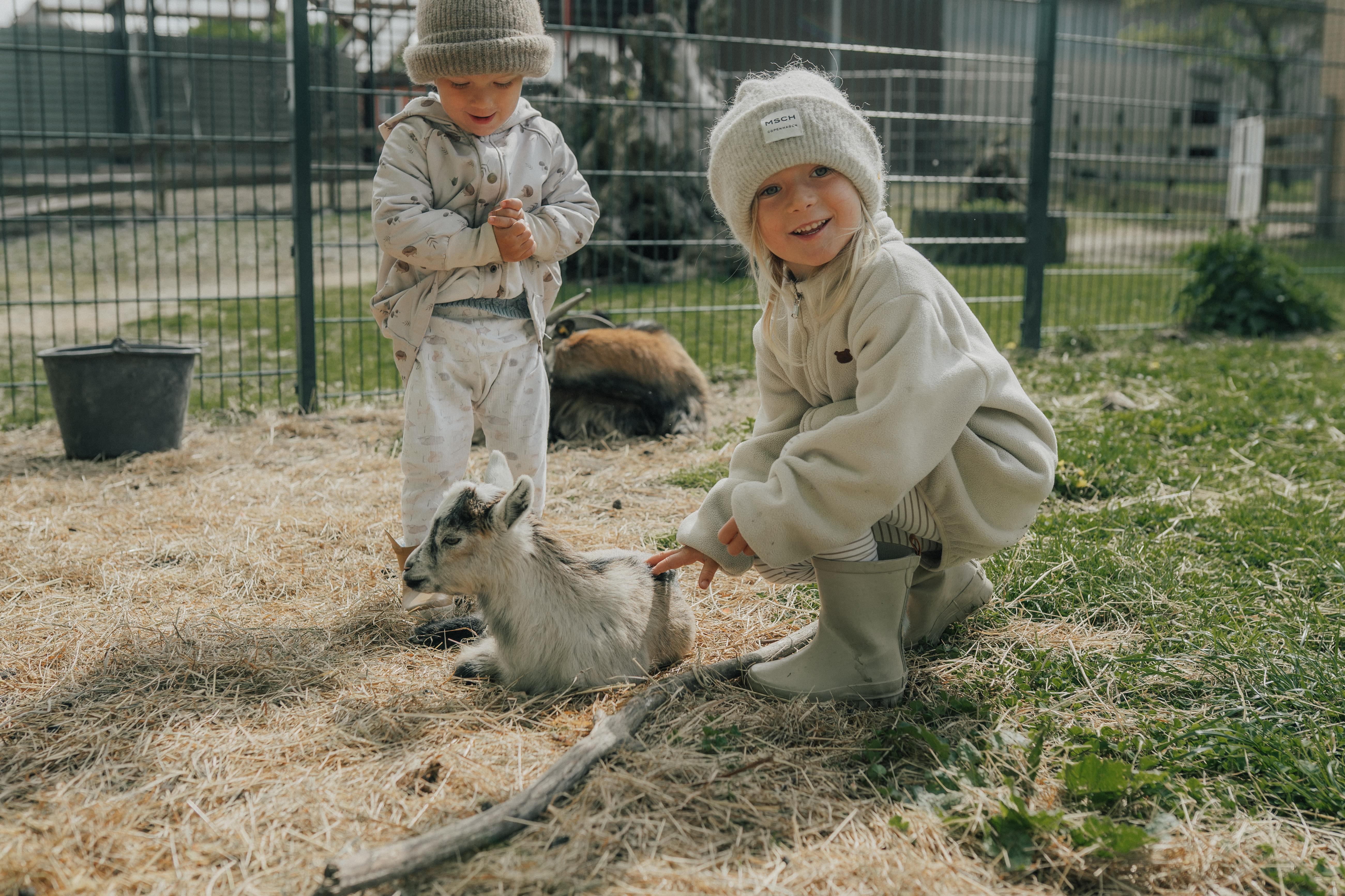Ferienhof Lunau unsere Tiere Ziegen