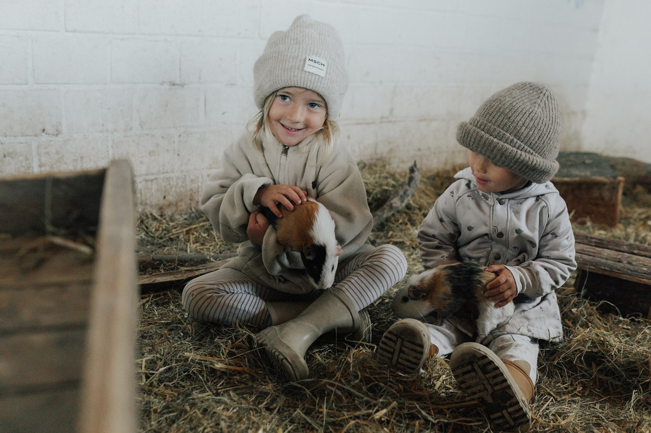 Ferienhof Lunau unsere Tiere Kaninchen & Meerschweinchen