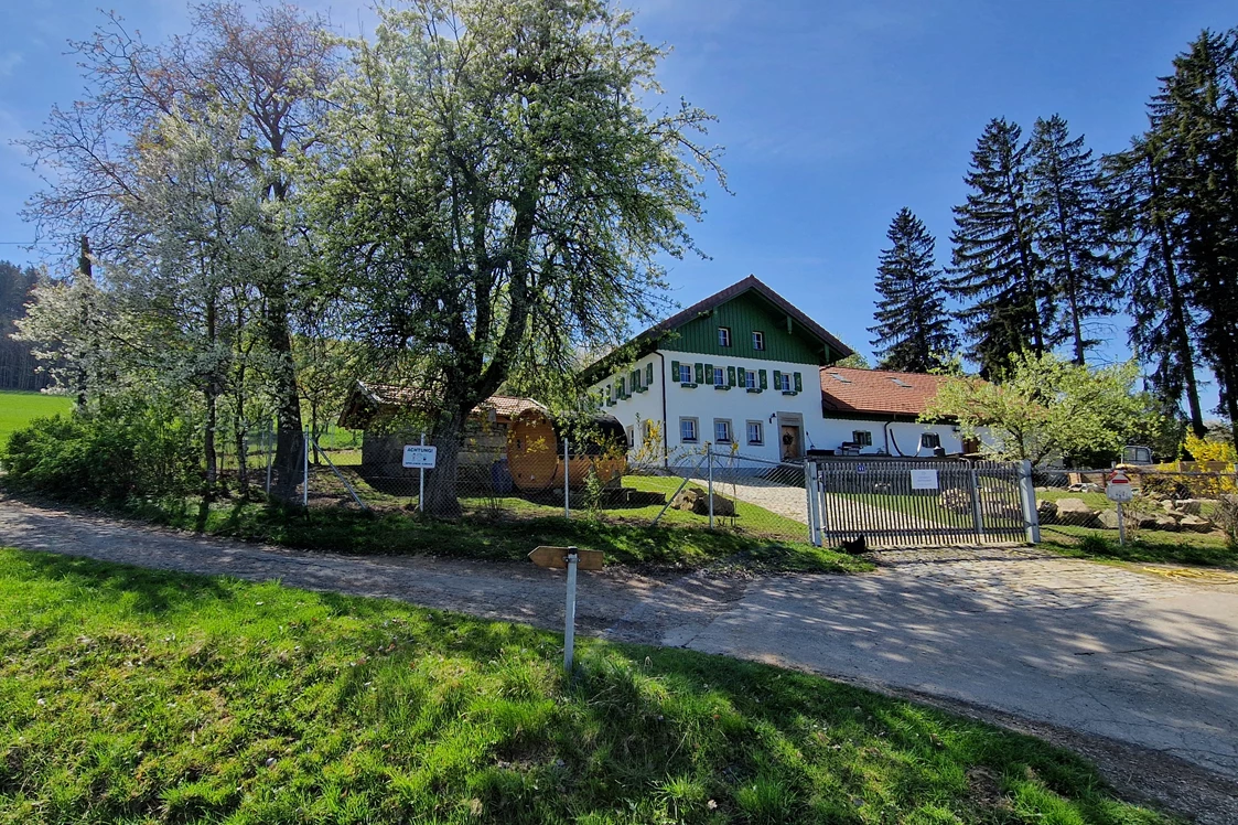 Ferien Bauernhof: Michlshof im Frühjahr - Landgut Michlshof