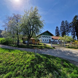 Ferien Bauernhof: Michlshof im Frühjahr - Landgut Michlshof