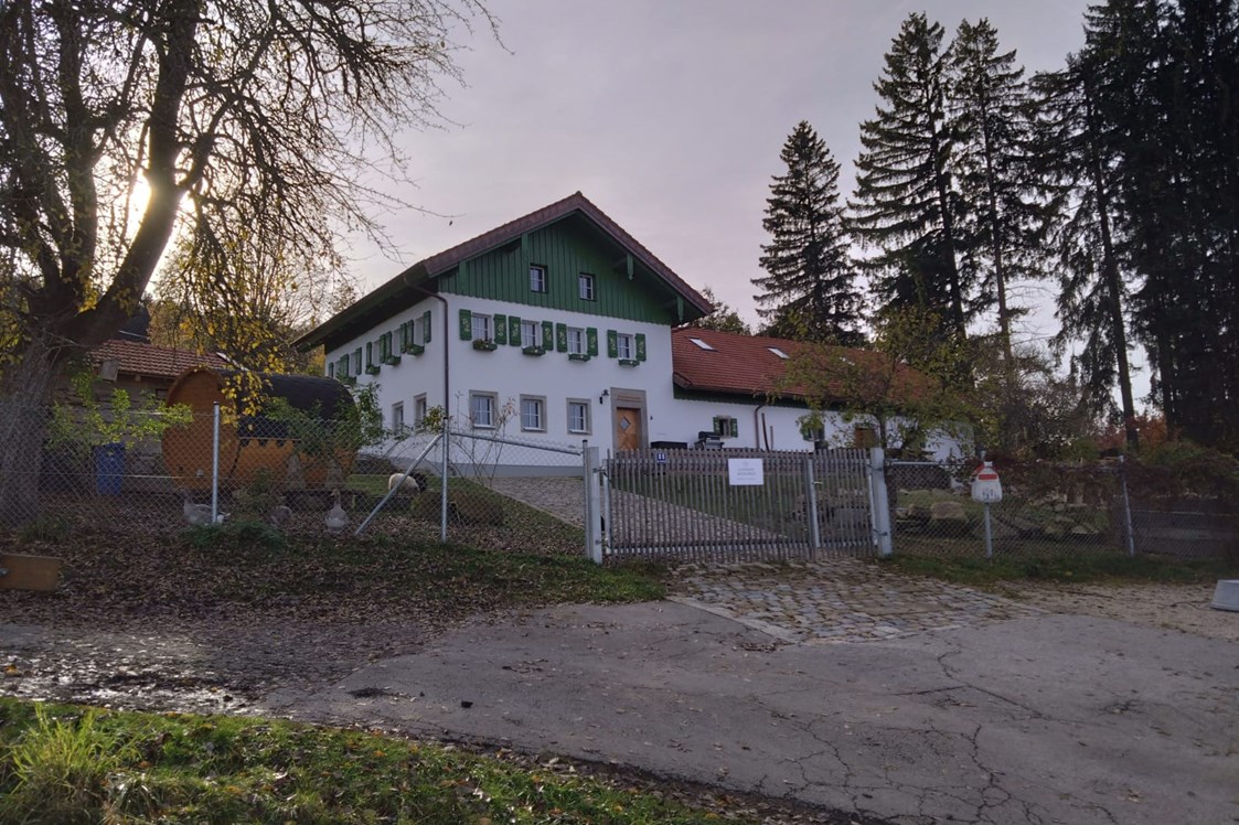 Ferien Bauernhof: Michlshof im Herbst - Landgut Michlshof