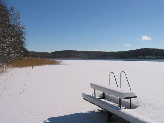 Ferien Bauernhof: Ferienhof Luisenau