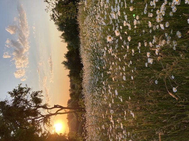 Ferien Bauernhof: Pasterhof Eichhorst