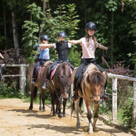 Ferien Bauernhof: Viel Spaß am Pferd - Reiterhof Seiterhof