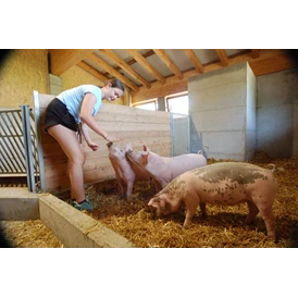 Ferien Bauernhof: Schweine - Feriengut Unterhochstätt