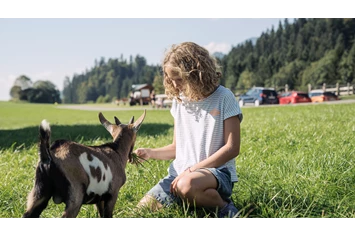 Ferien Bauernhof: Ziegen - Feriengut Unterhochstätt