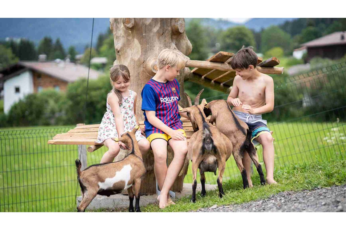 Ferien Bauernhof: Ziegen - Feriengut Unterhochstätt