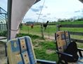 Ferien Bauernhof: Sonnenscheinhof Alpakas 