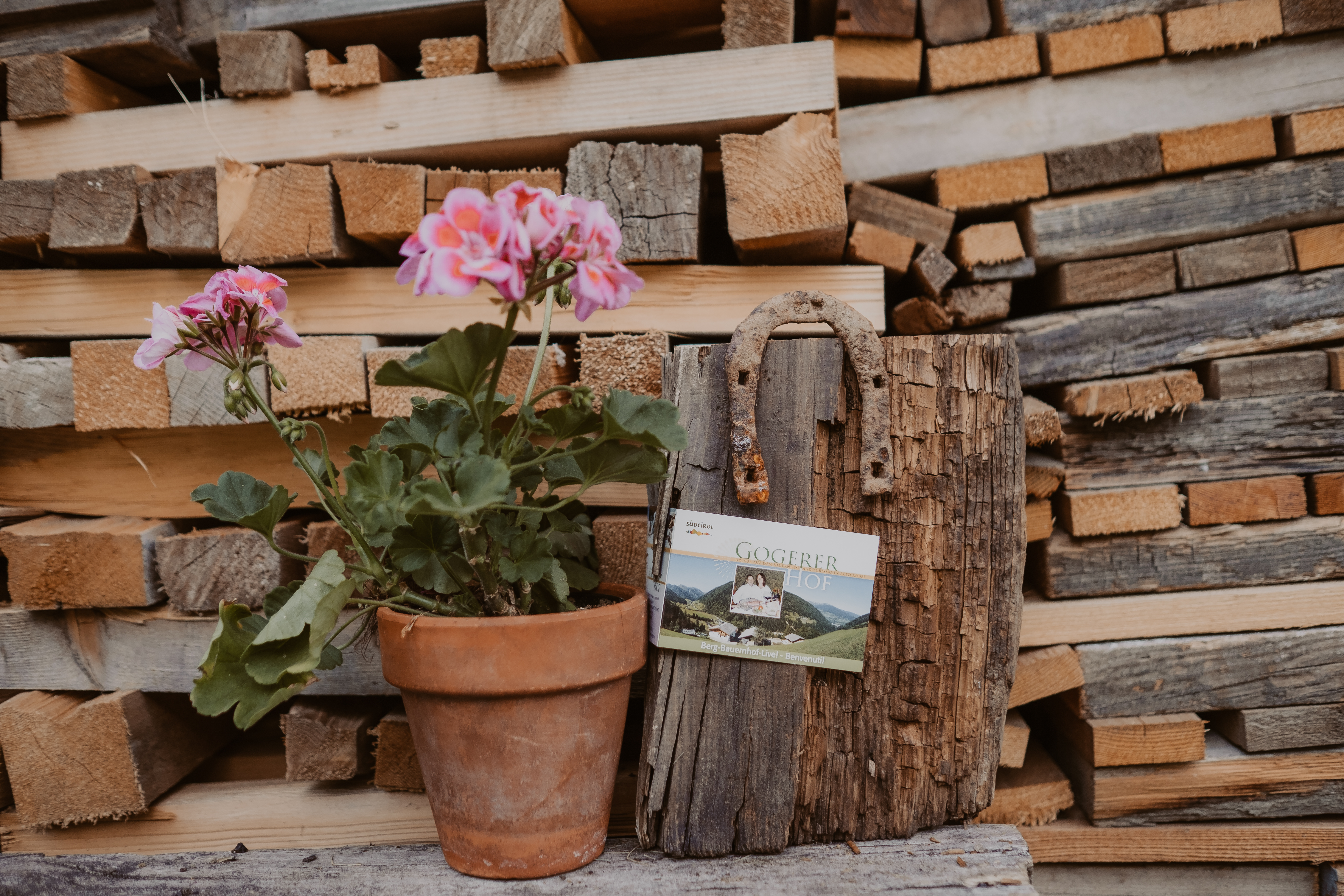 počitnice na kmetiji - Ruhelage - Willkommen am Bio Bauernhof Gogerer - Gogerer Hof