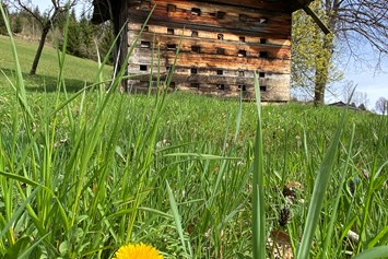 Ferien Bauernhof: alte Bienenhütte - Finkhof Appartements
