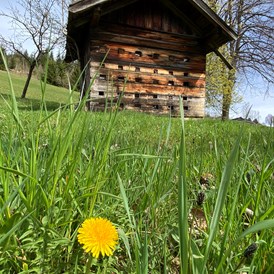 Ferien Bauernhof: alte Bienenhütte - Finkhof Appartements