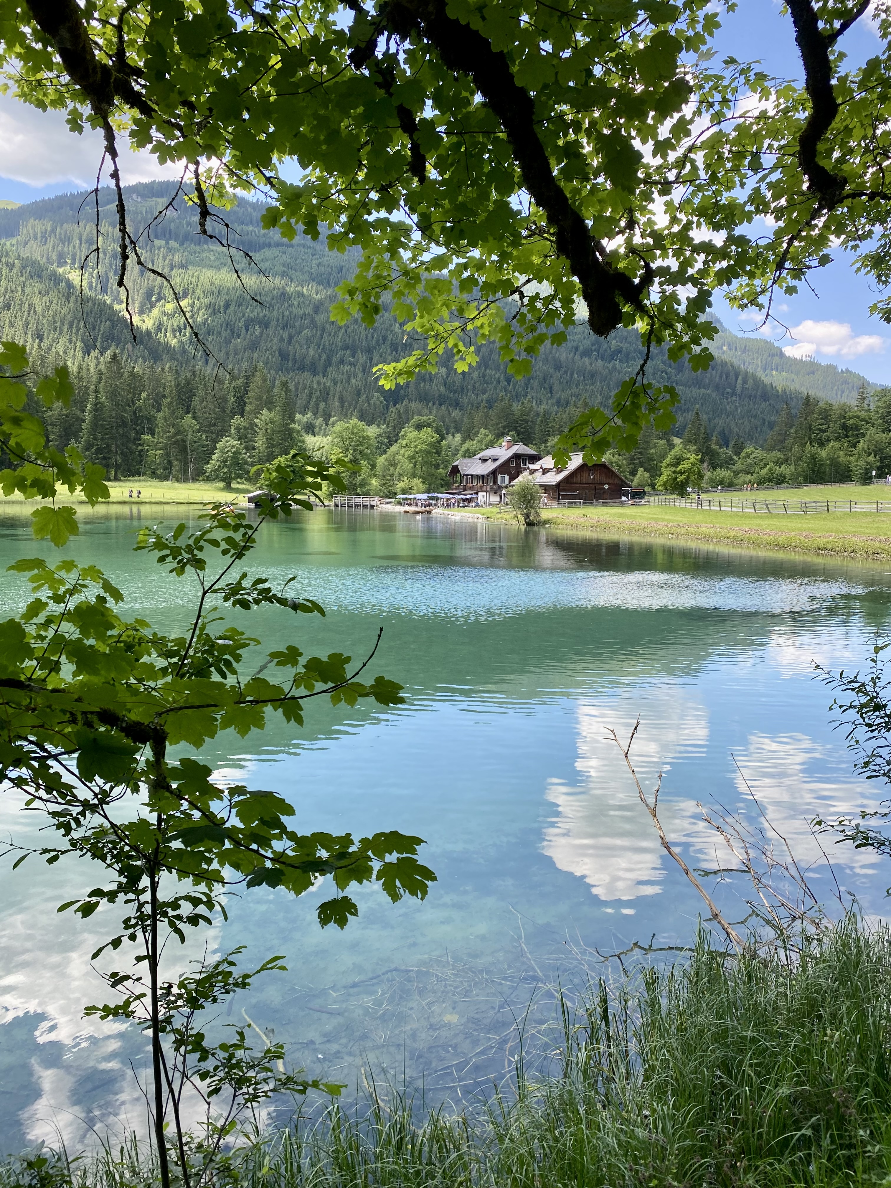 Ferien Bauernhof: Ausflugstipp Jägersee in Kleinarl - Finkhof Appartements