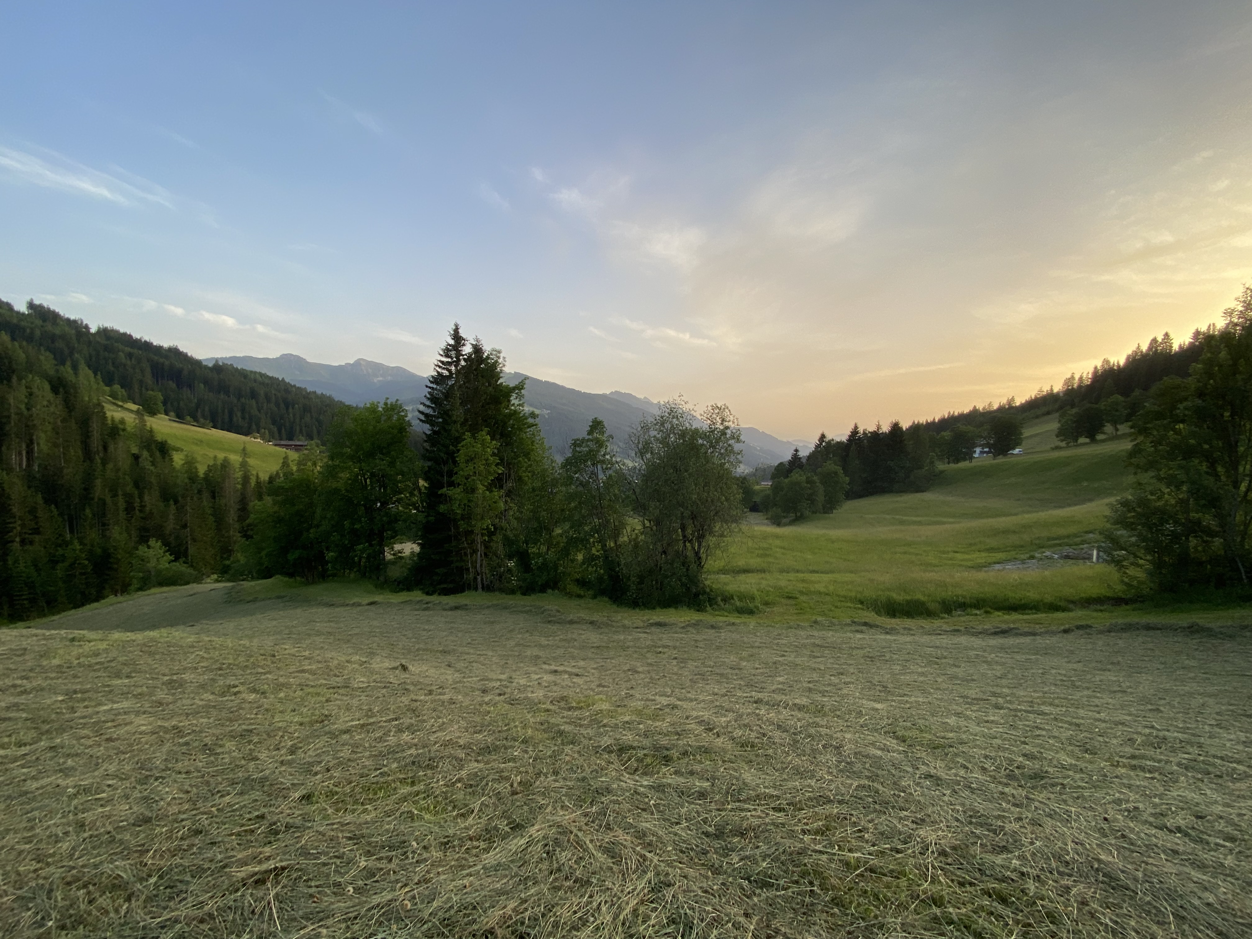 Ferien Bauernhof: Finkhof Appartements
