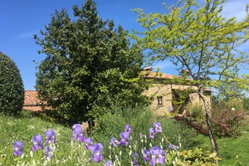 Ferien Bauernhof: Frühlingsgefühle in Bivignano - Agriturismo Casa Bivignano - Toskana