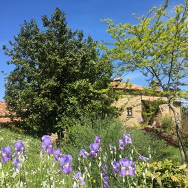 Ferien Bauernhof: Frühlingsgefühle in Bivignano - Agriturismo Casa Bivignano - Toskana
