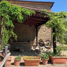Ferien Bauernhof: Pergola vom Hexenhäuschen - Agriturismo Casa Bivignano - Toskana