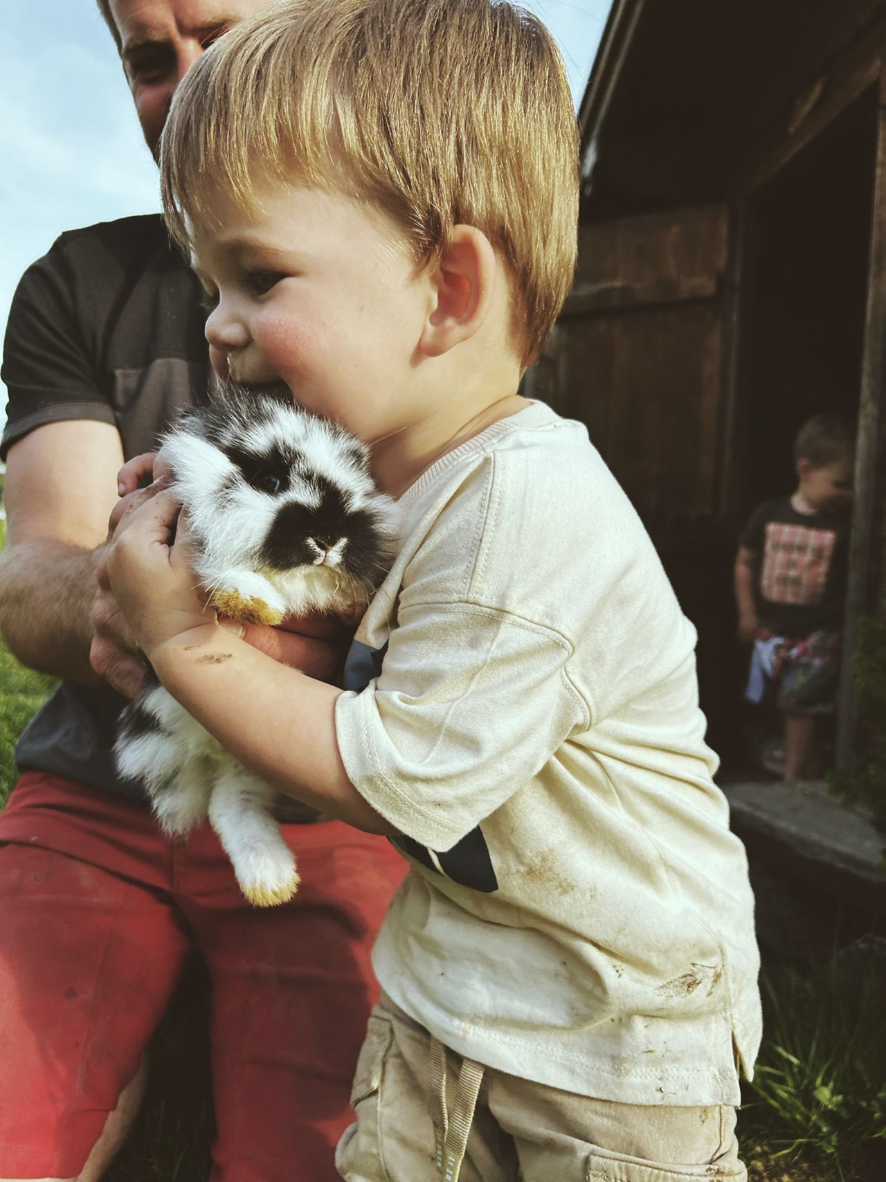 Sinnhubgut Nos animaux 