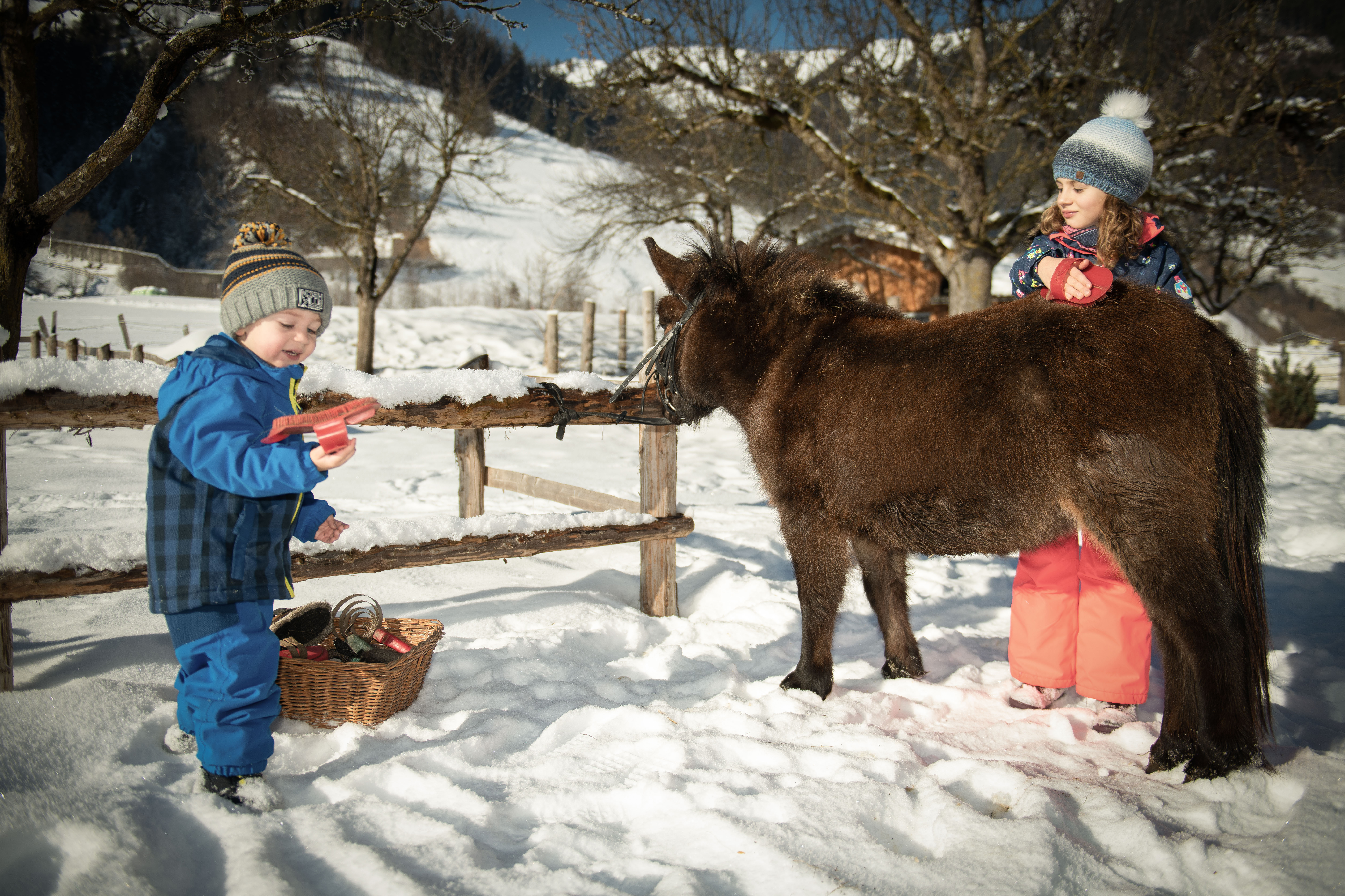 Ferien Bauernhof: Schmiedhofgut