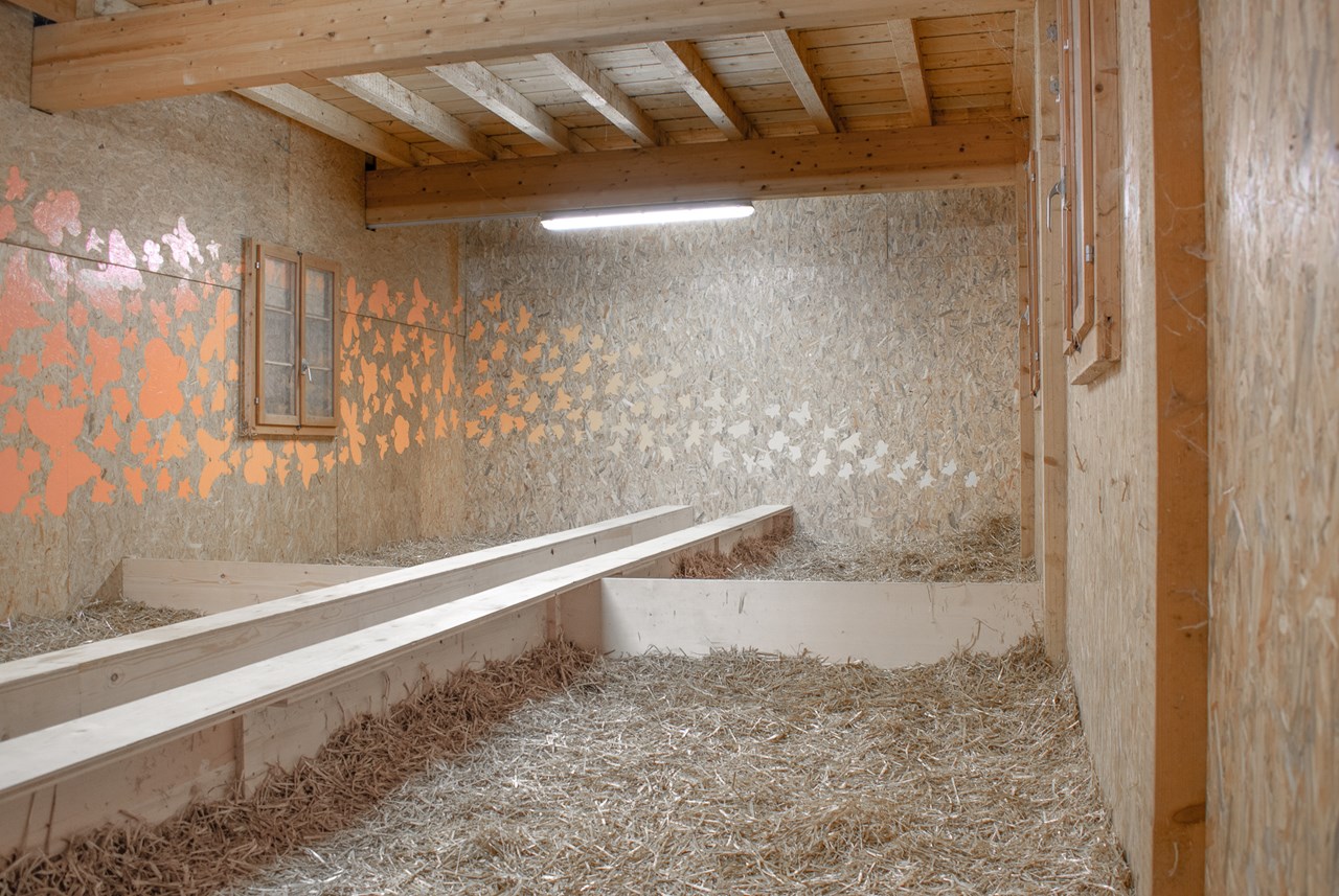 Berghof Montpelon Presentation of the rooms 2x sleeping in straw approx. 20-30 places