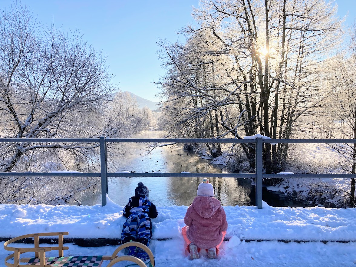 Ferien Bauernhof: Wildenten beobachten - Furtmühle - Winter