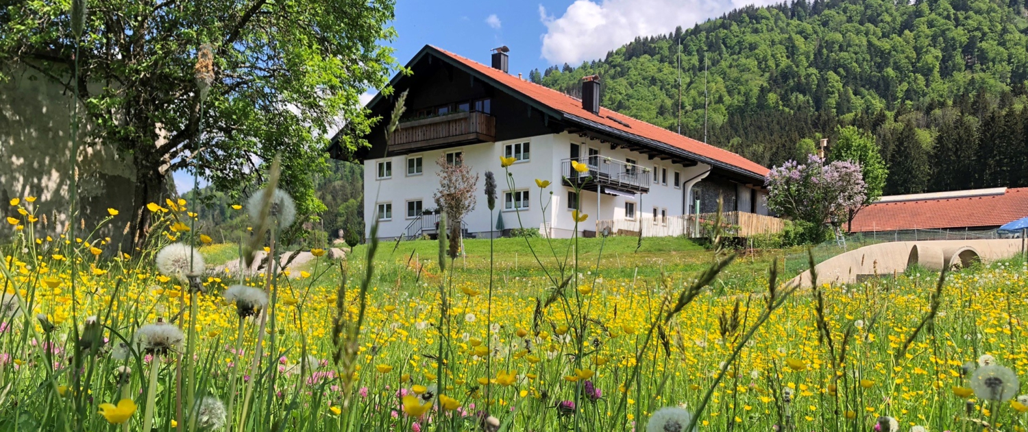Urlaub auf dem Bauernhof - Top-Hof 2026 - Haus im Frühjahr - Ferienhof Rasch