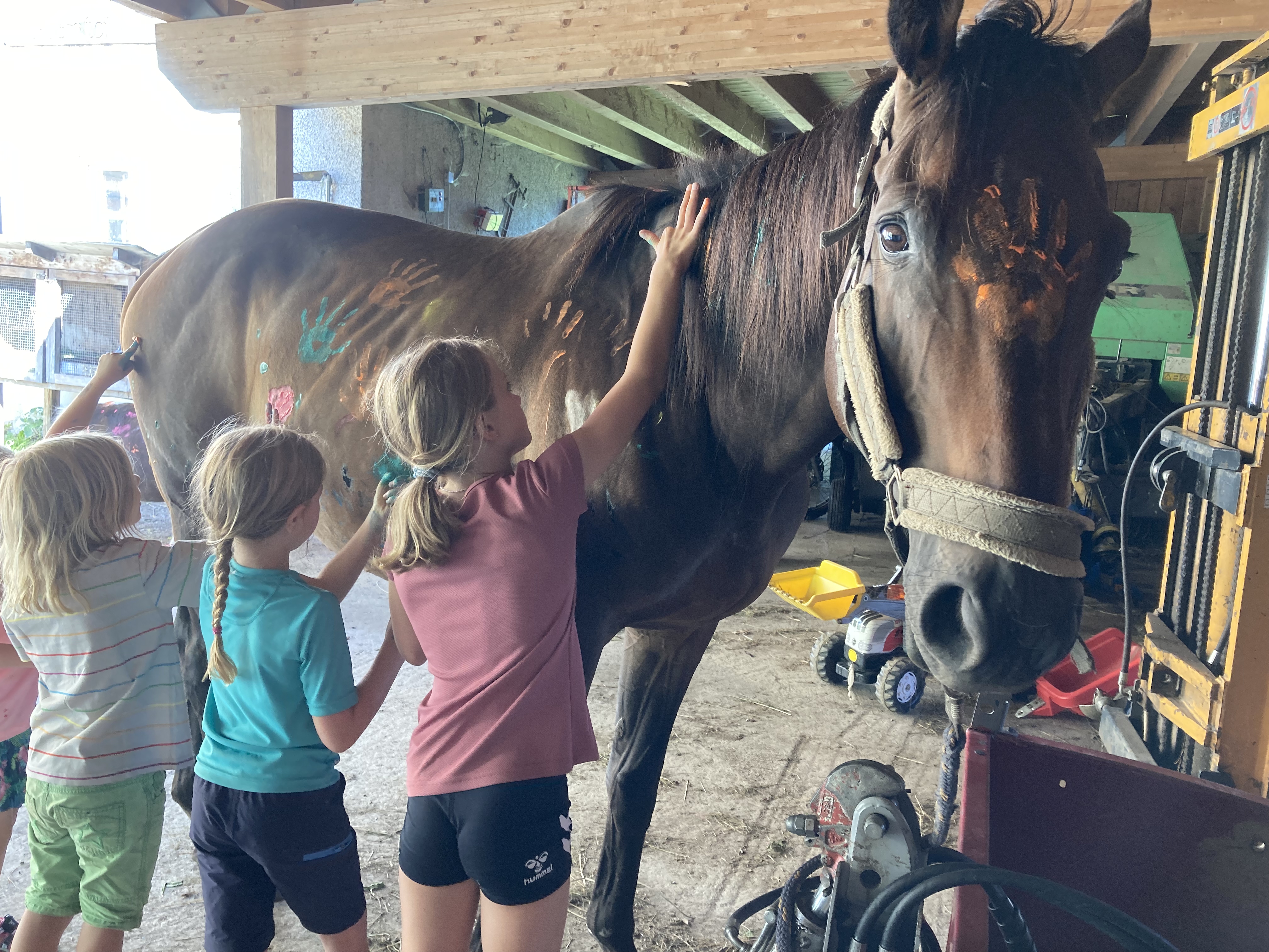 Berghotel Presslauer Our animals Balisto