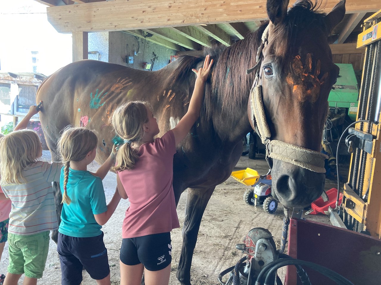 Berghotel Presslauer Nos animaux Baliste