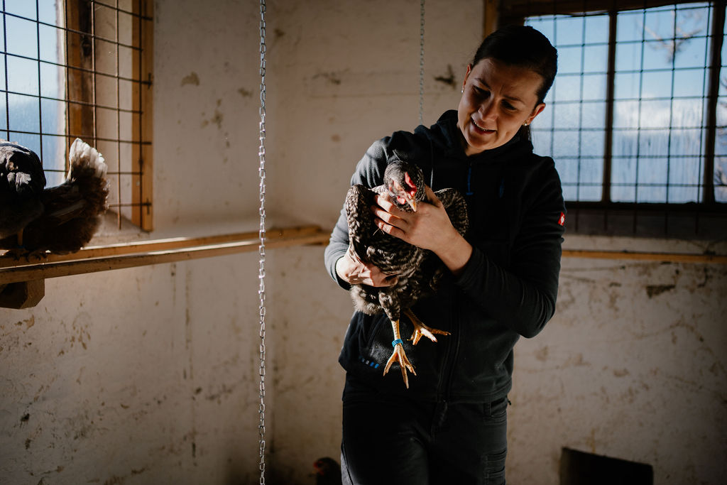 Ferien Bauernhof: Berghotel Presslauer