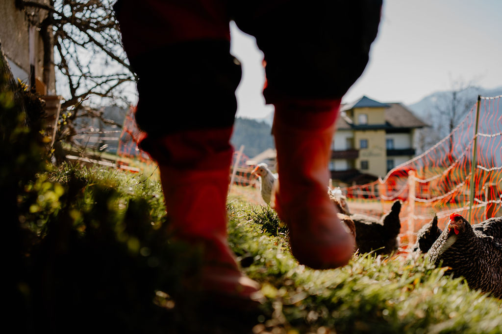 Ferien Bauernhof: Berghotel Presslauer