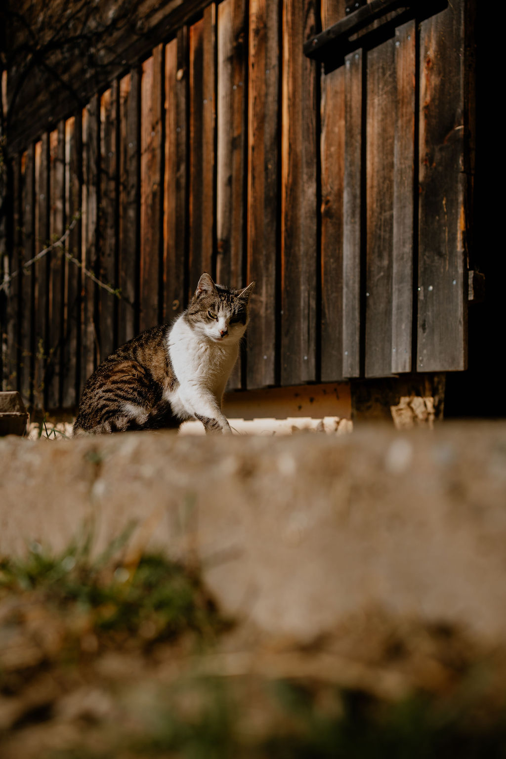 Ferien Bauernhof: Berghotel Presslauer