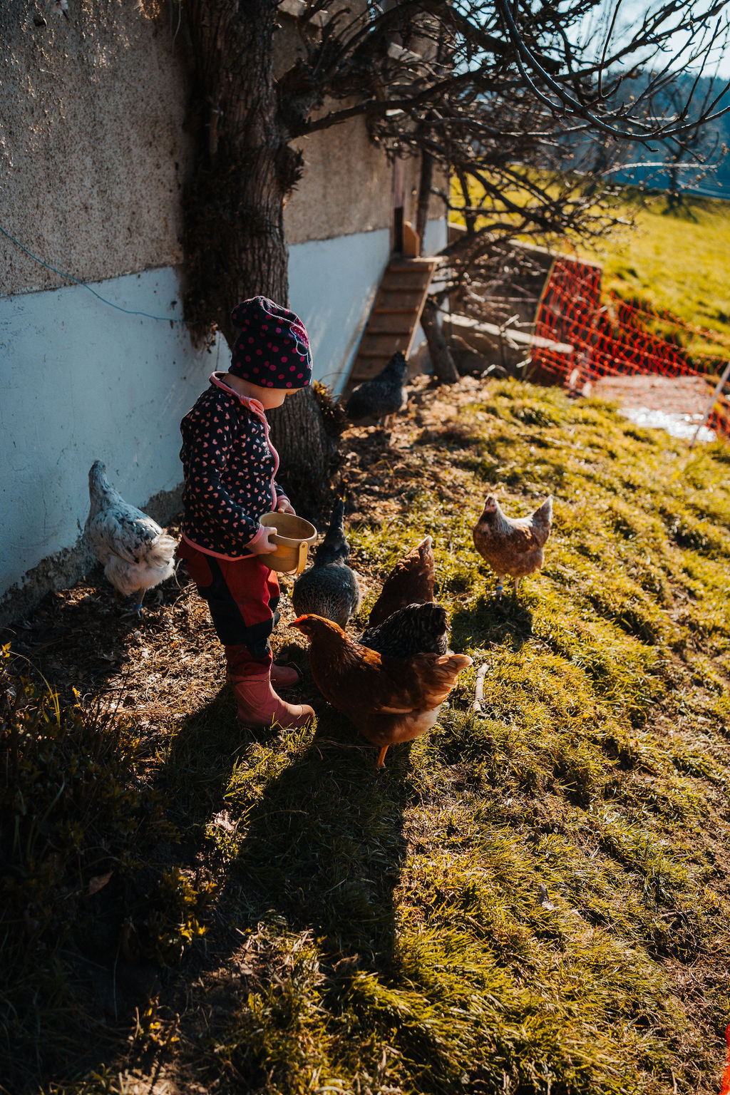 Ferien Bauernhof: Berghotel Presslauer