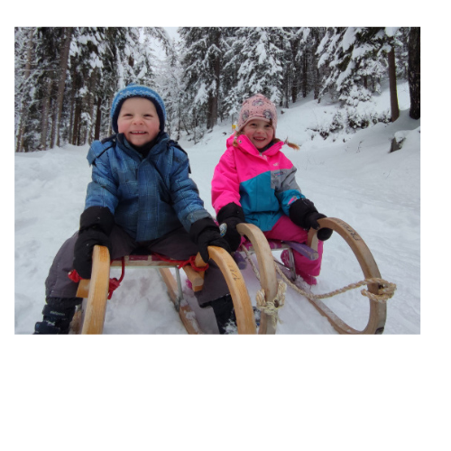 Ferien Bauernhof: Berghotel Presslauer