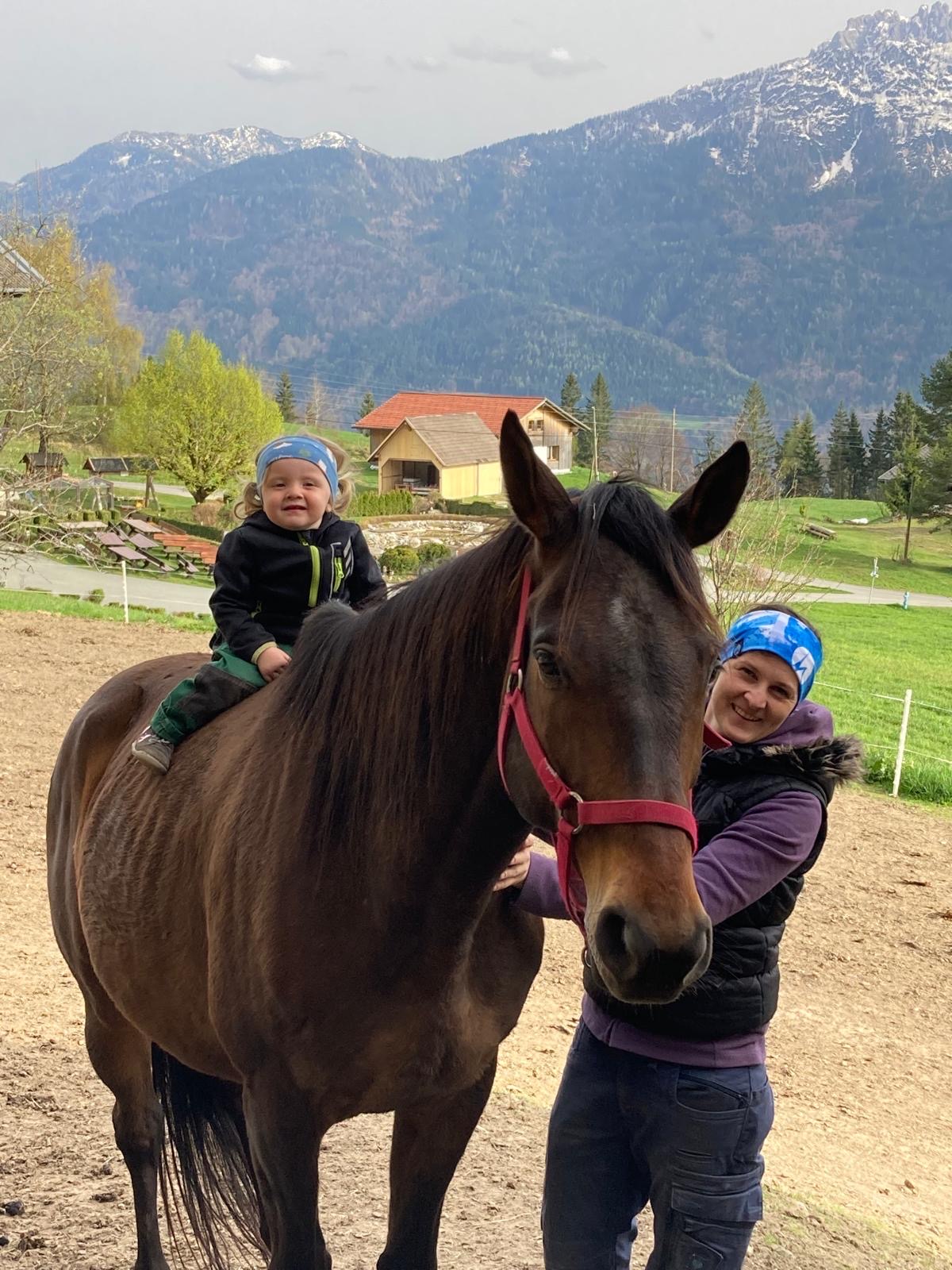 Ferien Bauernhof: Berghotel Presslauer