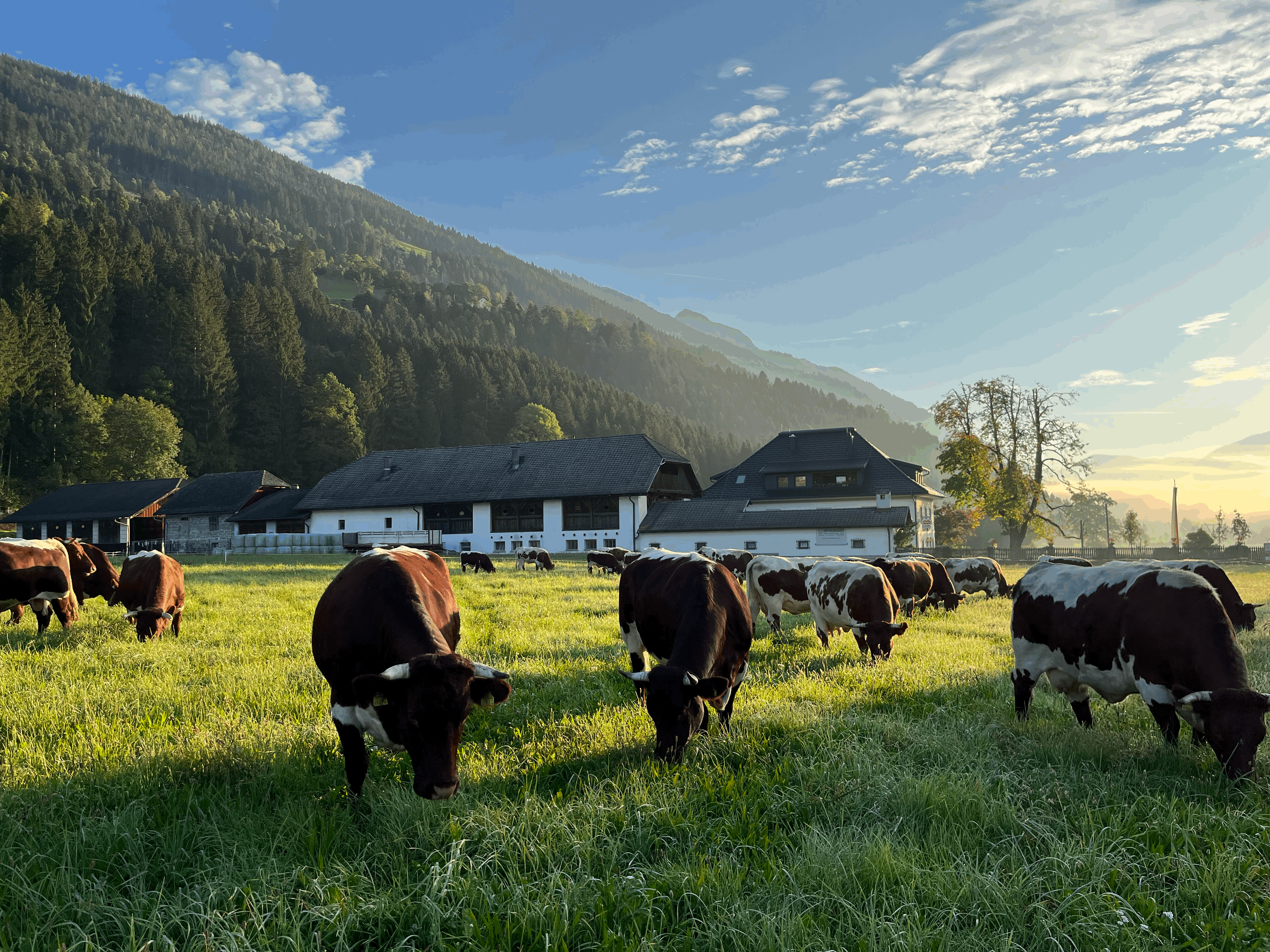 Urlaub auf dem Bauernhof - erreichbar mit: Bus - Malta (Malta) - Rasdorferhof